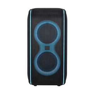 Dual 6inch party Speaker