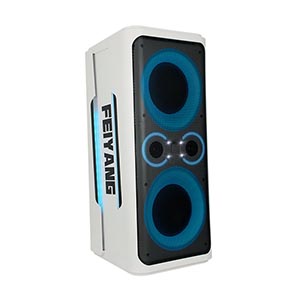 Dual 8inch party Speaker