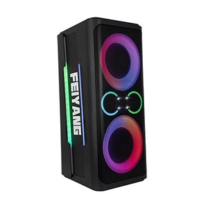 Dual 8inch party Speaker