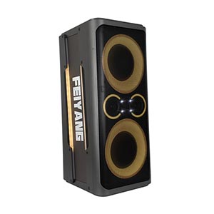 Dual 8inch party Speaker